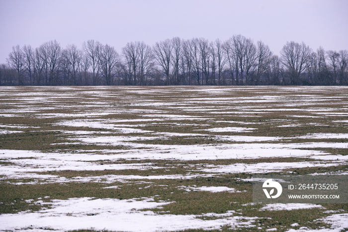 late winter landscape in Ukraine with some snow patches spread