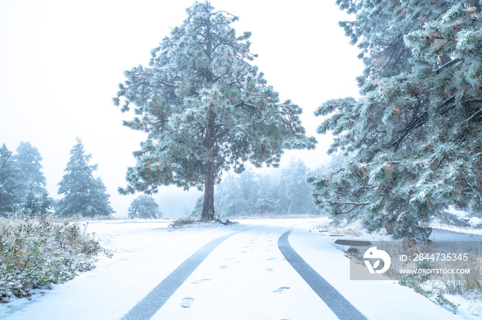 First snow of the season in Colorado