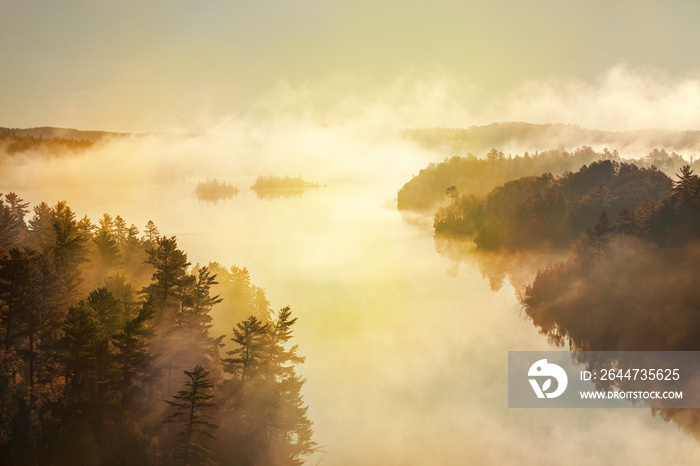 High angle view of misty lake and pine trees at sunrise in the boundary waters of Minnesota