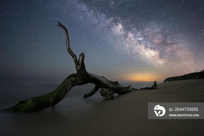 Milky Way over the tree. Long time exposure night image with Milky Way Galaxy above the Black sea. Landscape, Astrophotography and Nightscape photography, Milky way.