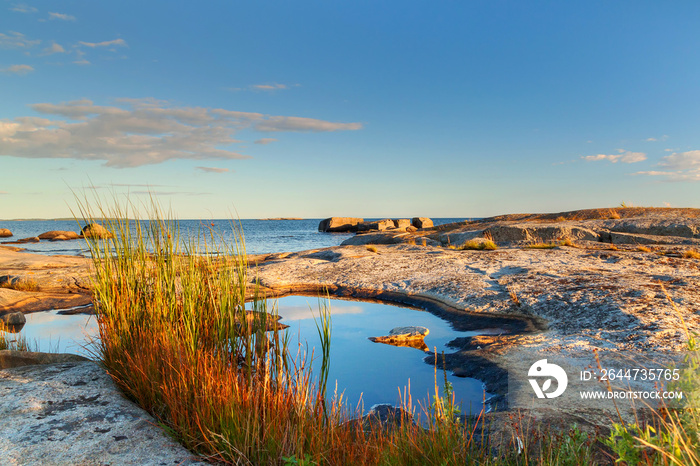 Beautiful swedish landscape at sunny day