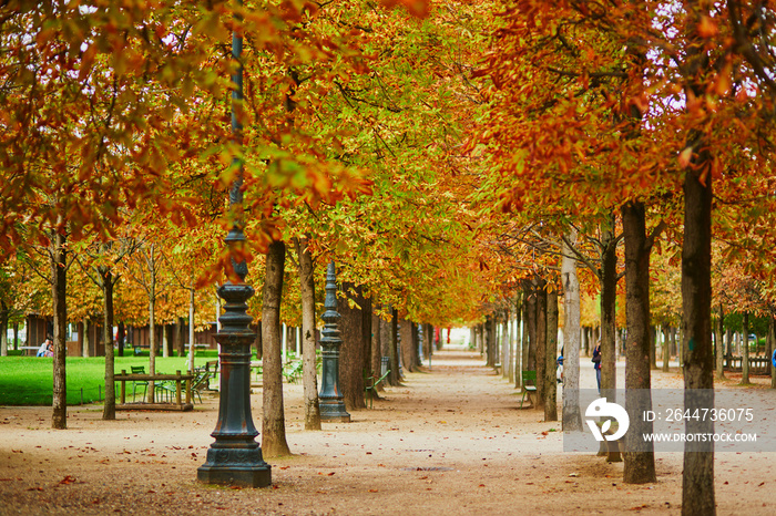 Beautiful fall day in Tuileries garden, Paris