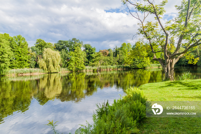 Pond in Sanssouci park in Potsdam, Germany