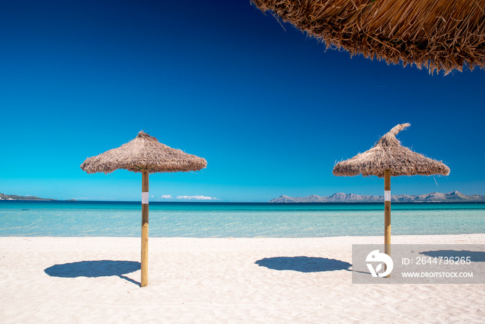 Majorca Platja de Muro beach in Alcudia bay in Mallorca Balearic islands of Spain