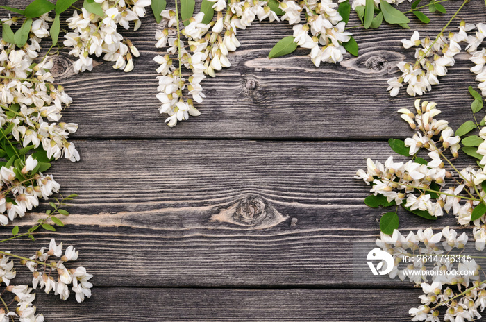 Beautiful acacia flowering branches with a lot of blossoms on black wooden background. Springtime concept. Copy text space, top view.