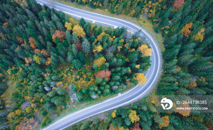 View from a height of the road winding through the mountain autumn forest with colorful leaves.