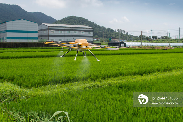 Agricultural drones on fresh grasses on green fields. Drone technology allows us to focus on agriculture faster and safer. Future new technologies have entered our lives directly. Edit High Resolution