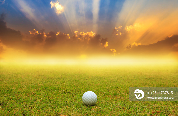 golf ball in fairway on sunrise with fog