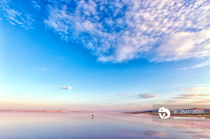 Landscape of Salt Lake. Salt Lake ( Turkish: Tuz Golu meaning Salt Lake ) is the second largest lake in Turkey with its 1,665 km2 surface area and one of the largest hypersaline lakes in the world.