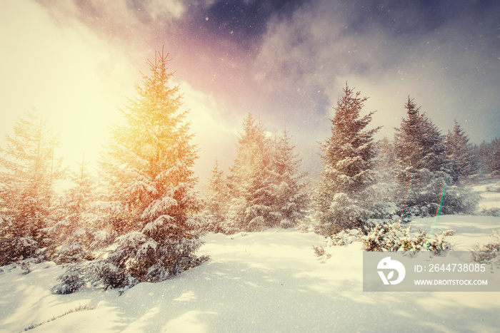 Mysterious Winter landscape with fog, majestic mountains