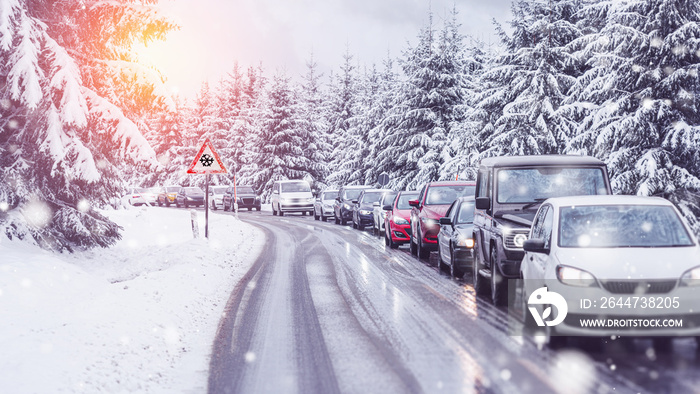 Traffic jam on a slippery road in a beautiful forest landscape