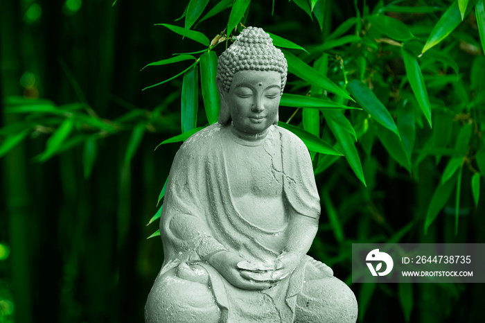 Portrait of a buddha statue before a bamboo background. Sign for peace and wisdom