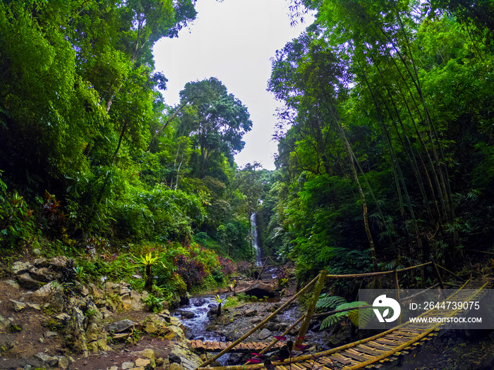 View of Labuhan Kebo waterfall located in Munduk, Bali