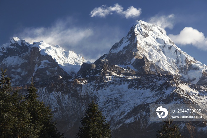 Scenic Landscape View of Snowy Annapurna Peak from Poon Hill in Nepal Himalaya Mountains