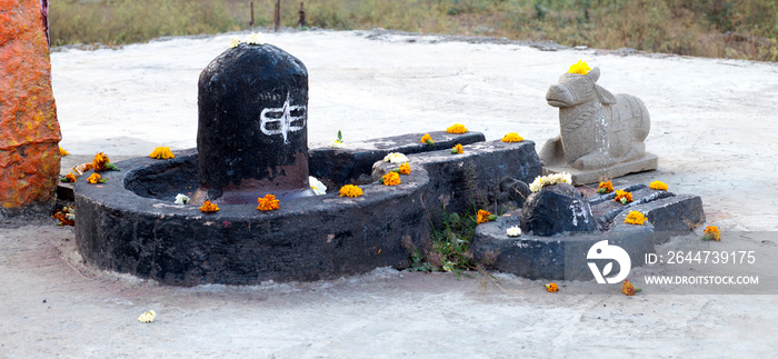 Close up of shivling and nandi bull decorated with offerings of marigold flowers