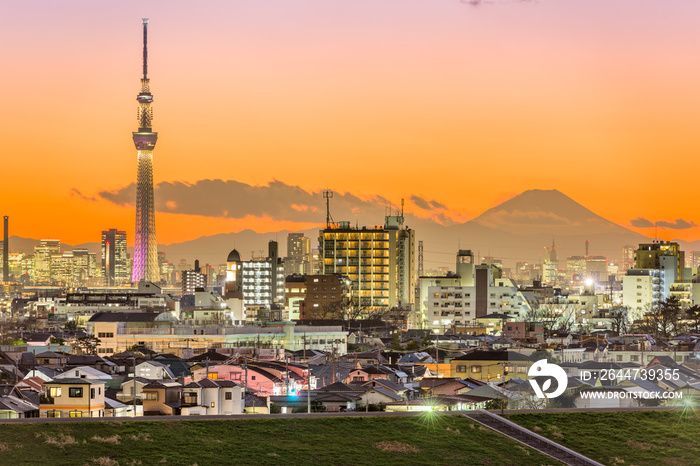 Tokyo Japan and Mt. Fuji