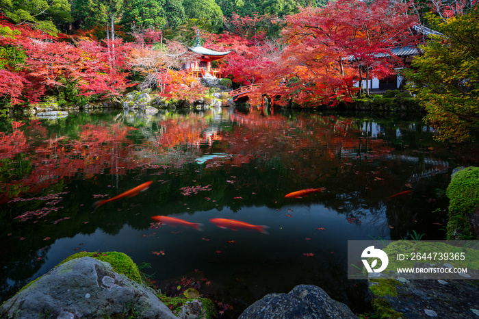 Pavilion and Wooded bridge in Daigoji temple with autumn background