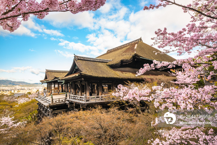 Kiyomizu-dera stage with cherry blossom in Kyoto