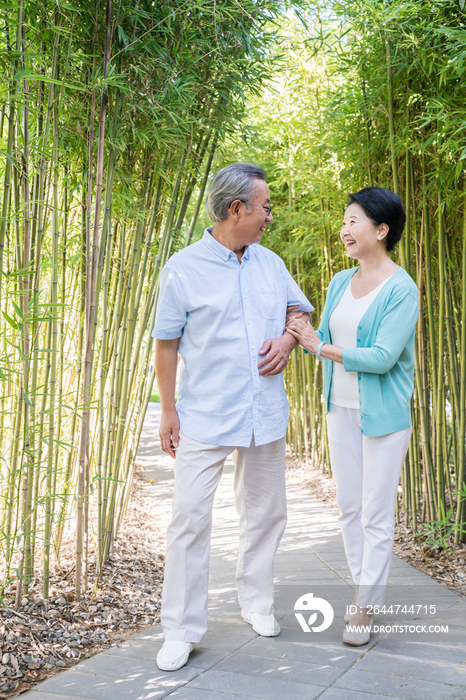 一对老夫妻在竹林散步