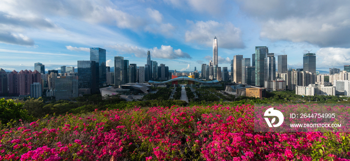 深圳城市风光