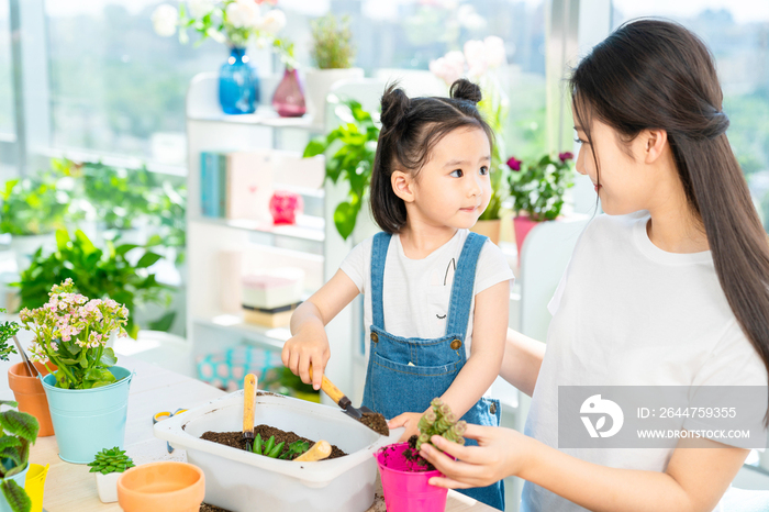 快乐的母女俩在家种植盆栽