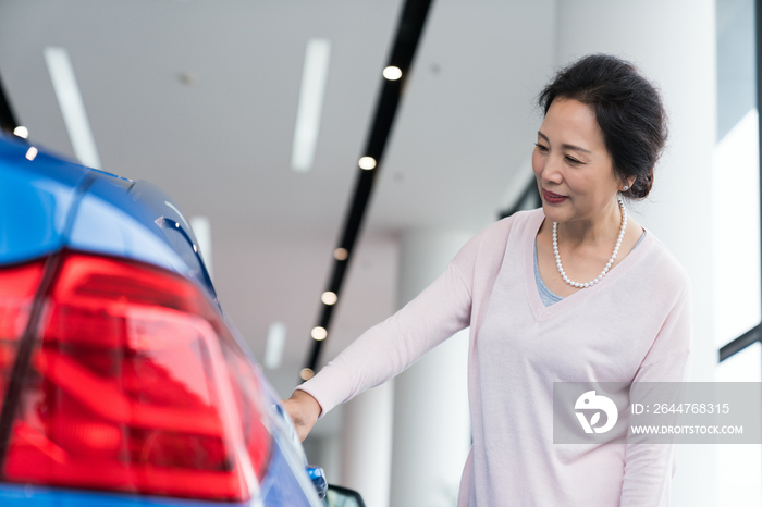 老年女子选购汽车