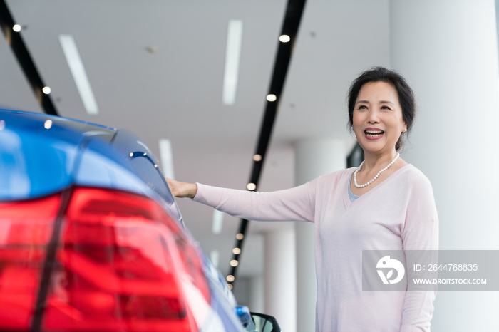 老年女子选购汽车