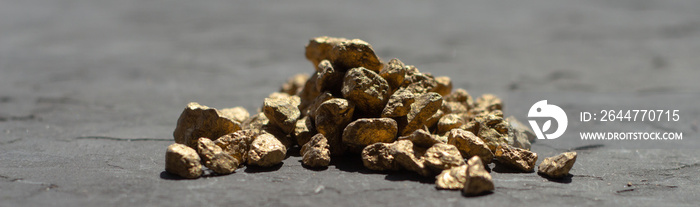 Golden sones. A pile of Gold nugget grains, on gray cement background, copy space