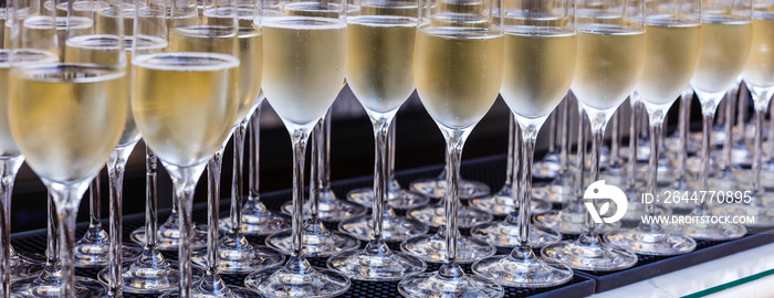 Row of glasses filled with champagne are lined up ready to be served