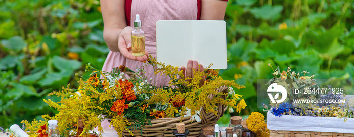 Medicinal herbs on the table. Place for notepad text. woman. Selective focus.