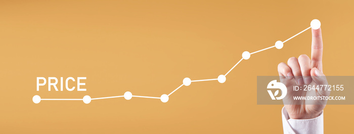 Male hand touching in Price growth graph.