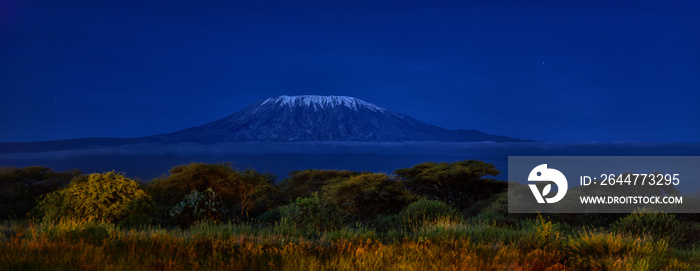 Panoramic, night scenery of Mount Kilimanjaro, snow capped highest african mountain, lit by full moon against deep blue night sky. Savanna view, Amboseli national park, Kenya.