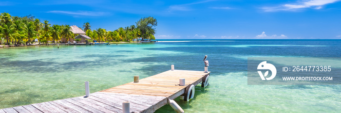 Belize, a tropical paradise in Central America. Web banner panoramic view.