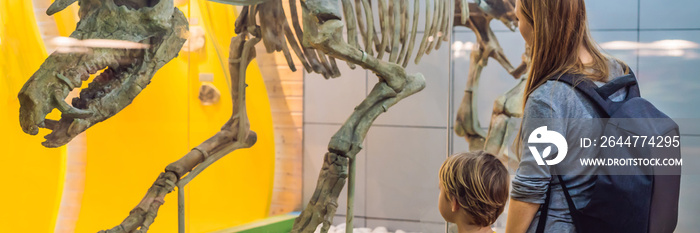 Mom and son watching dinosaur skeleton in museum BANNER, LONG FORMAT