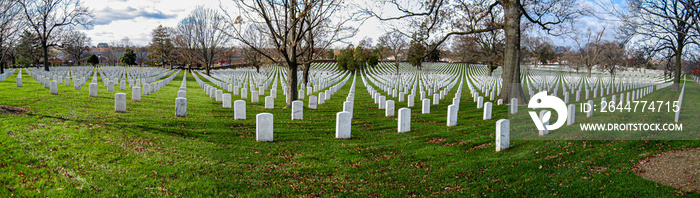 Panorama of Arlington National Cemetry