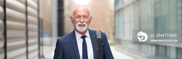 Senior smiling businessman in front of corporate office building