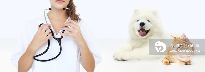 veterinary care concept. veterinarian with stethoscope, dog and cat isolated on white blank background