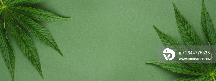 Banner with two cannabis leaves on green background.