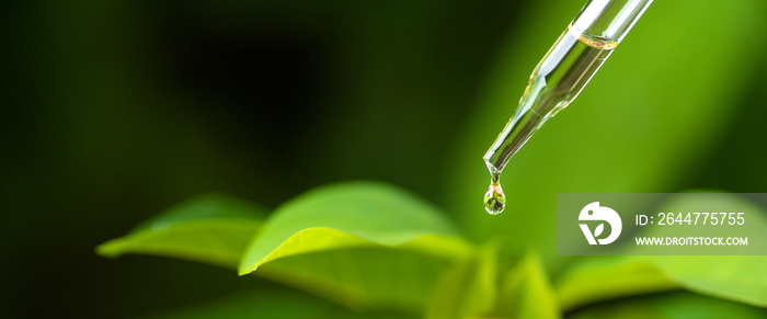 Dripping natural essential oil into a bottle on blurred background .medicine dropper, biomedical.