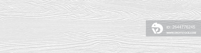 Cool white wooden board texture for backgrounds or design. Rustic plywood  wallpaper. Weathered pine grain wood template.