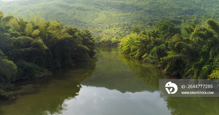 Beautiful natural scenery of river in tropical green forest