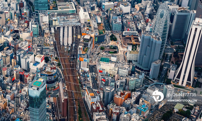 Aerial view of the skysrapers of Shinjuku, Tokyo, Japan