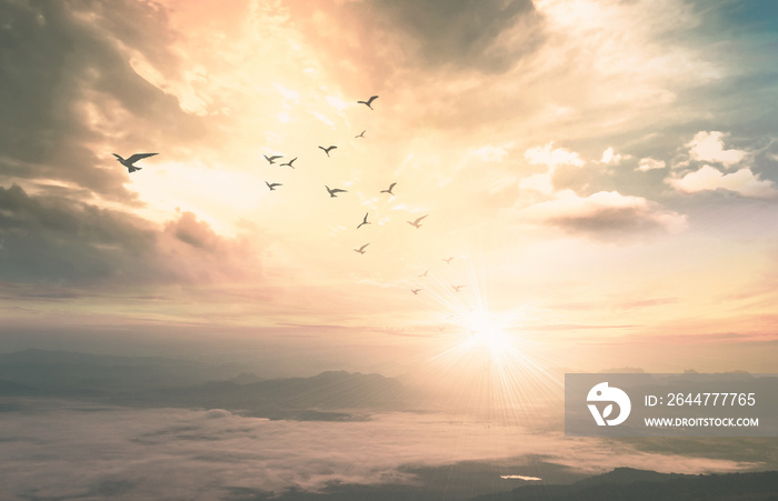 Background of heaven concept: Birds flying with mountain and sky sunrise. Nok Ann cliff, Phu Kradueng National Park, Loei, Thailand, Asia