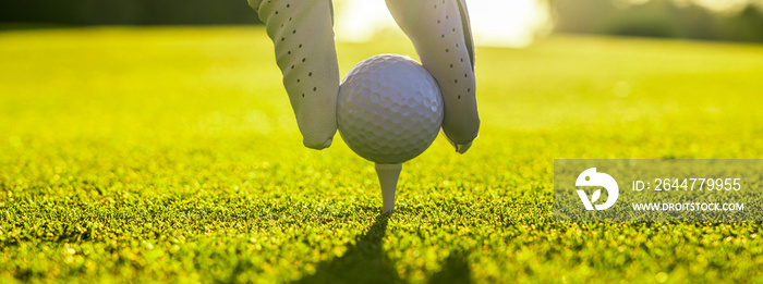 Closeup of golfer wearing glove placing golf ball on a tee at golf course