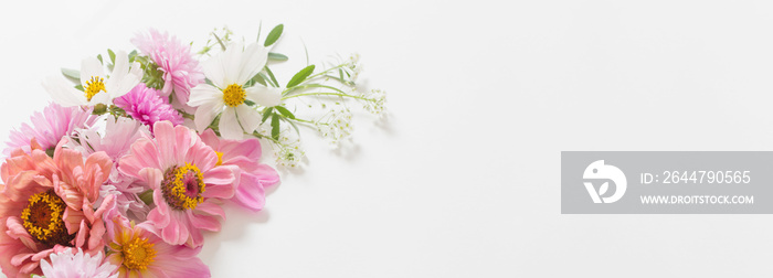 pink flowers on white background