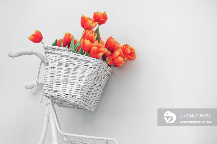 White bicycle with red tulips floral basket isolated on white background. Retro old-fashioned style.