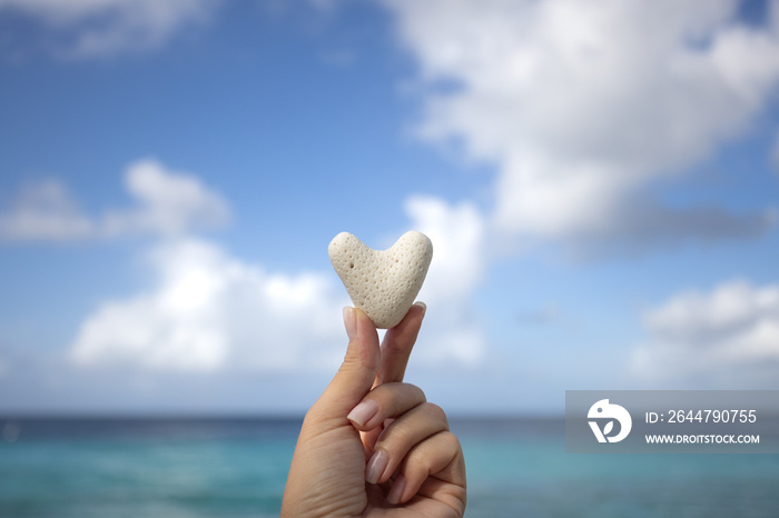 Female hand holding small heart from coral on the background of the seascape.