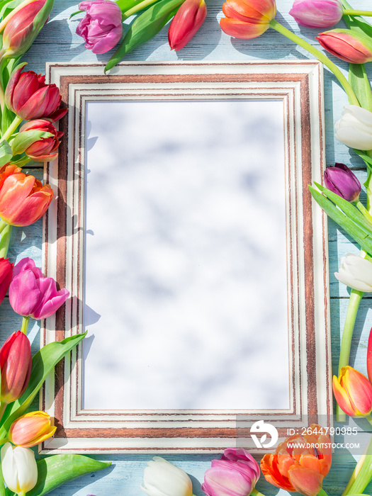 Colorful tulips around wooden frame in spring sunlights.