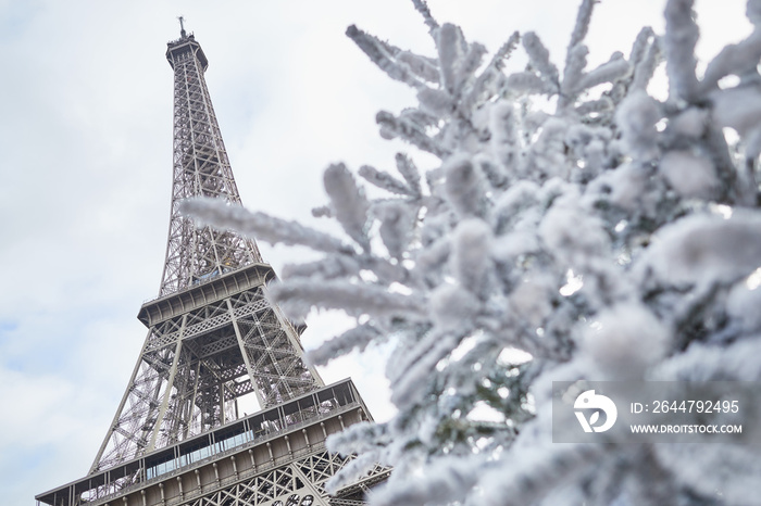 Christmas tree covered with snow near the Eiffel tower