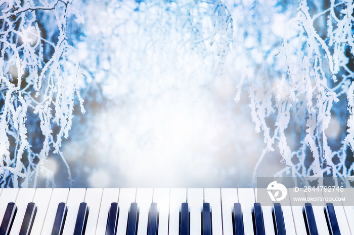 Piano keys on the winter background with branches of birch, covered with frost, for design. Copy spa